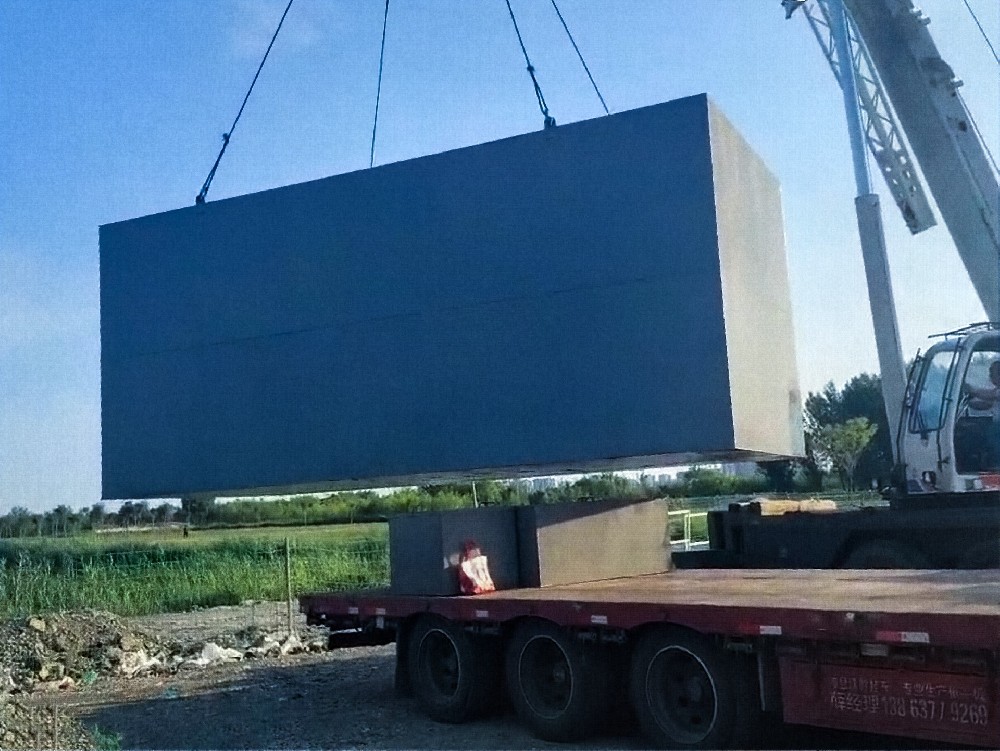 河道污水處理：技術與治理實踐